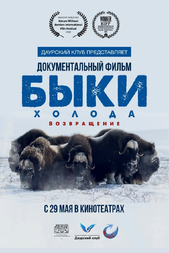 Быки холода. Возвращение