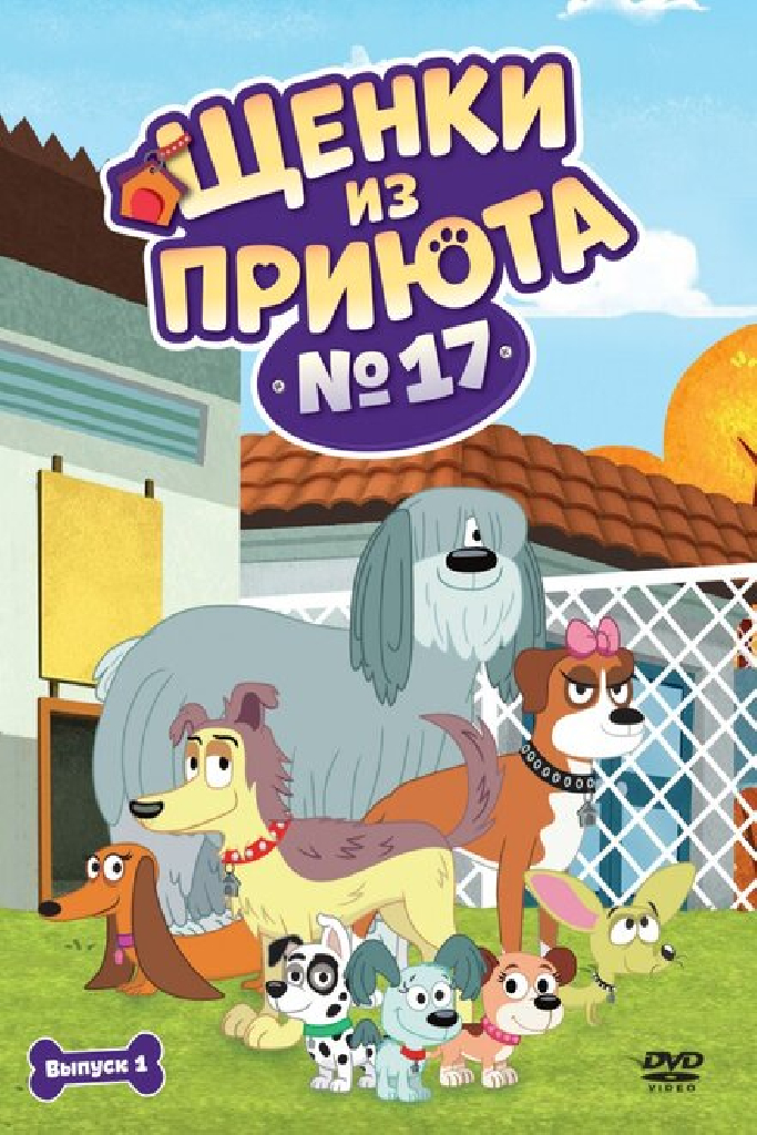 Щенки из приюта № 17