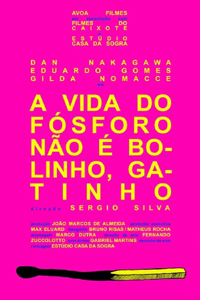 A Vida do Fósforo Não É Bolinho, Gatinho