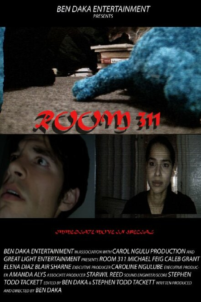Room 311