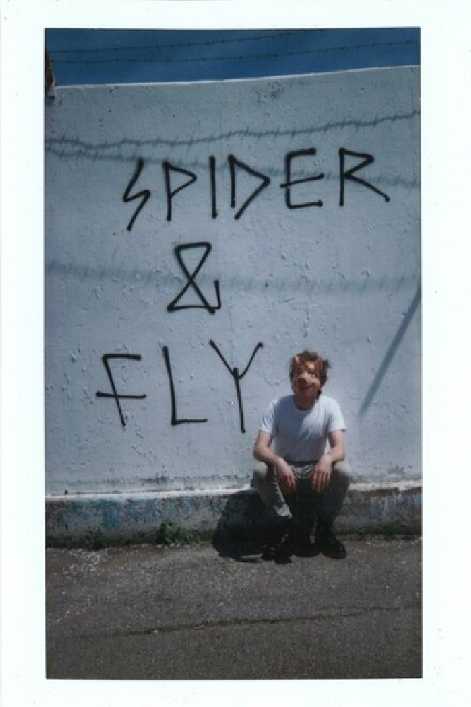 Spider & Fly