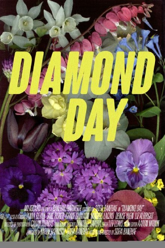 Diamond Day