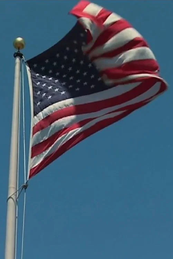 United States Wins the World Cup
