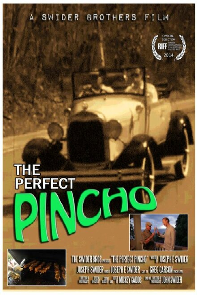 The Perfect Pincho