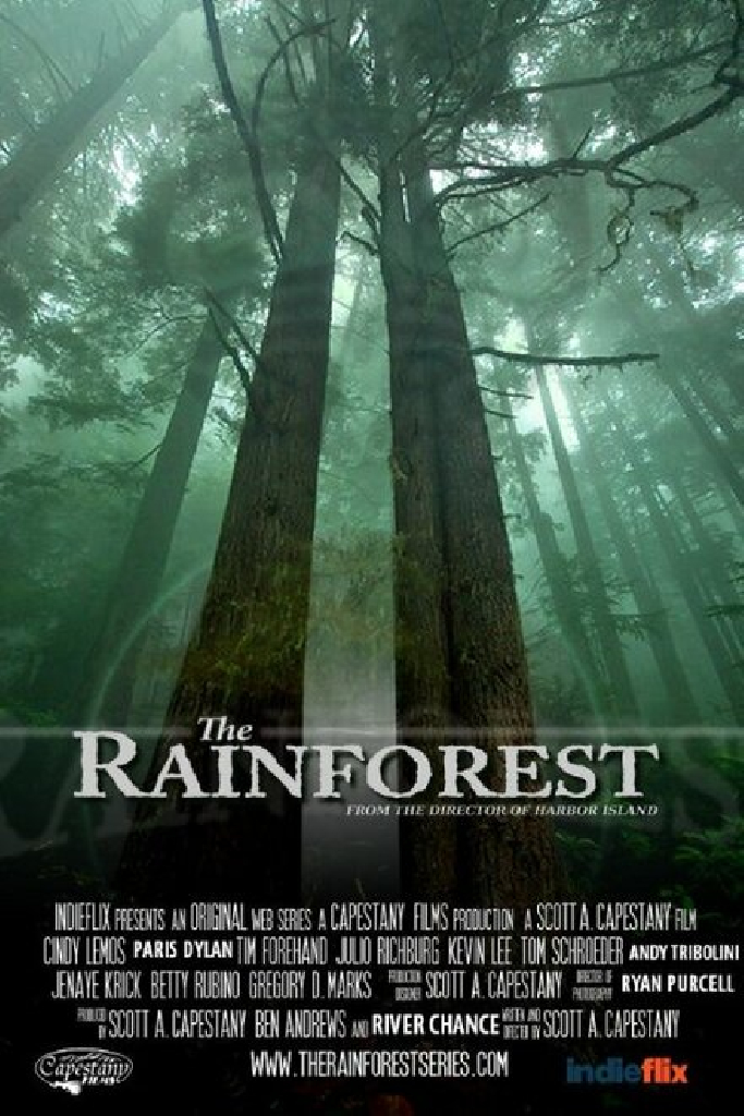The Rainforest