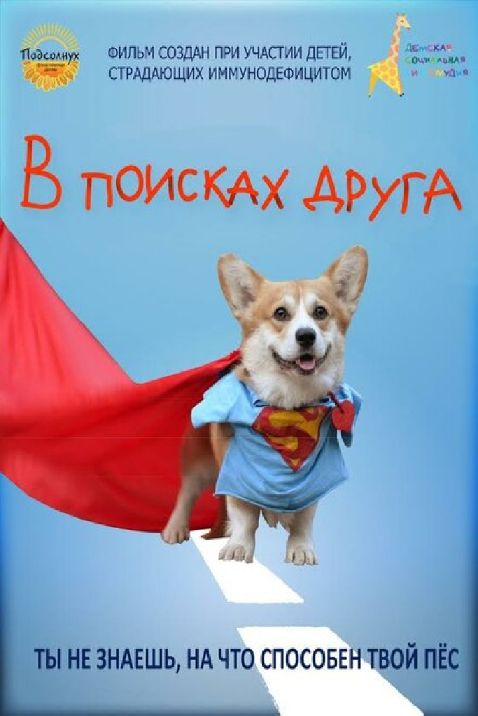 В поисках друга