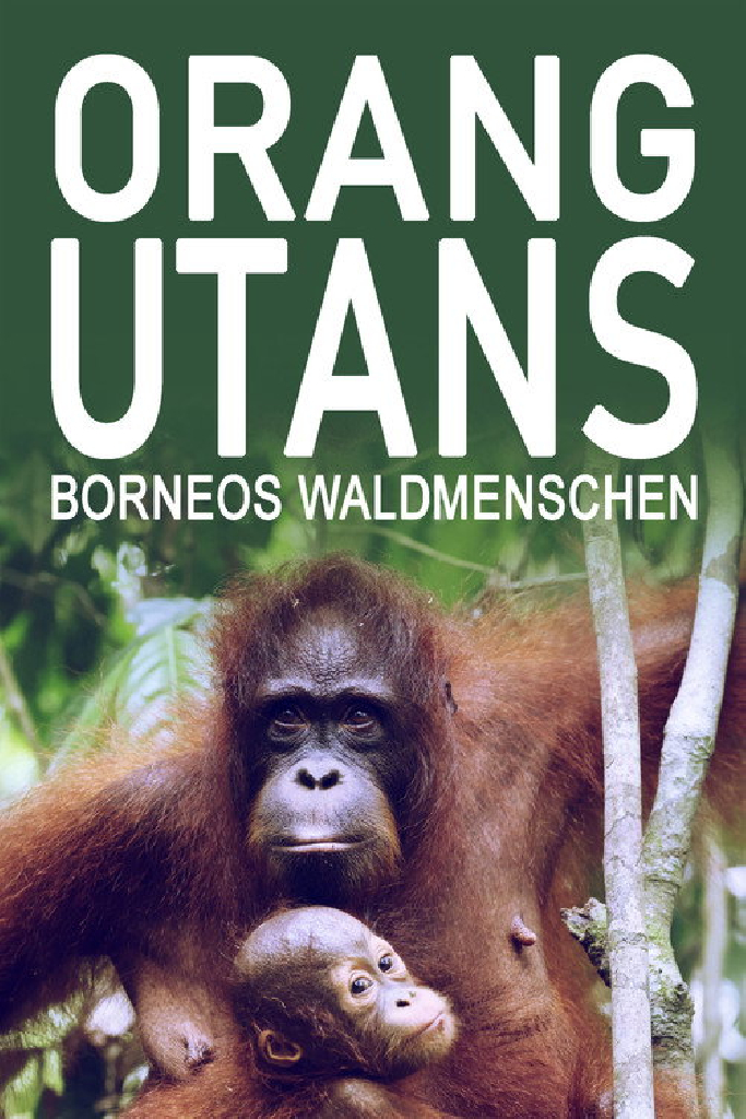 Orang-Utans - Borneos Waldmenschen
