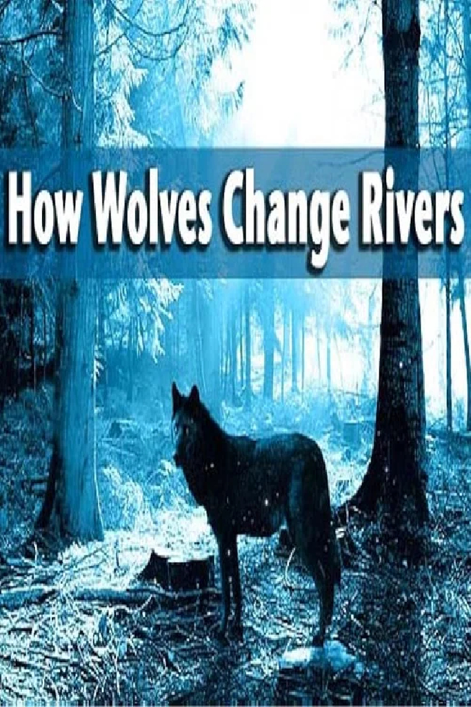 How Wolves Change Rivers