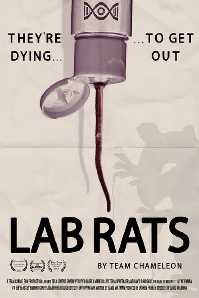 Lab Rats