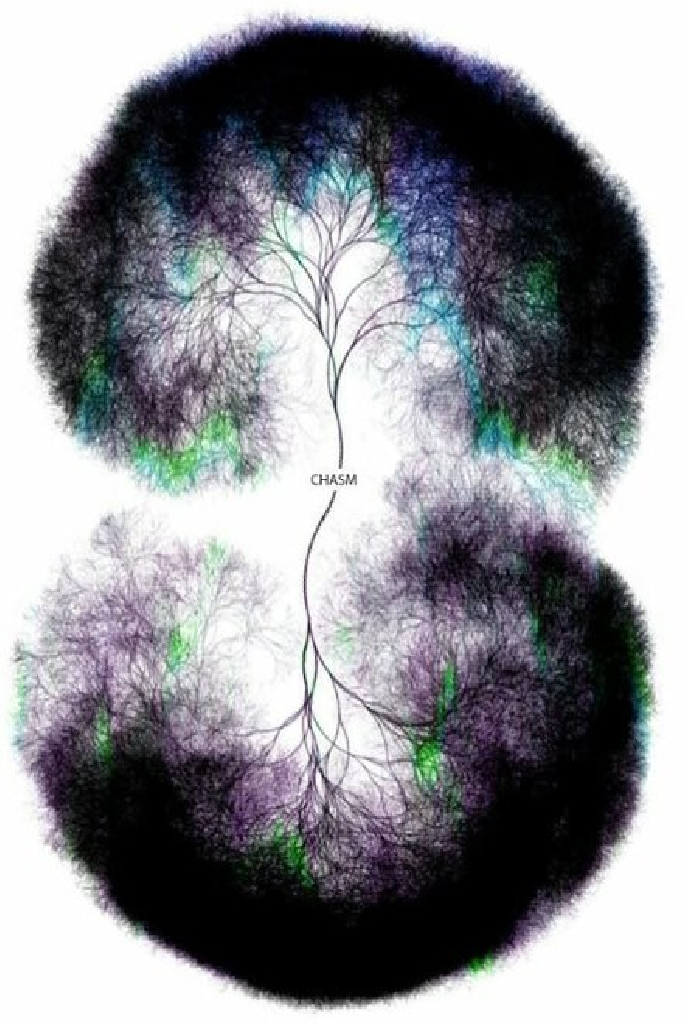 Mind Inc