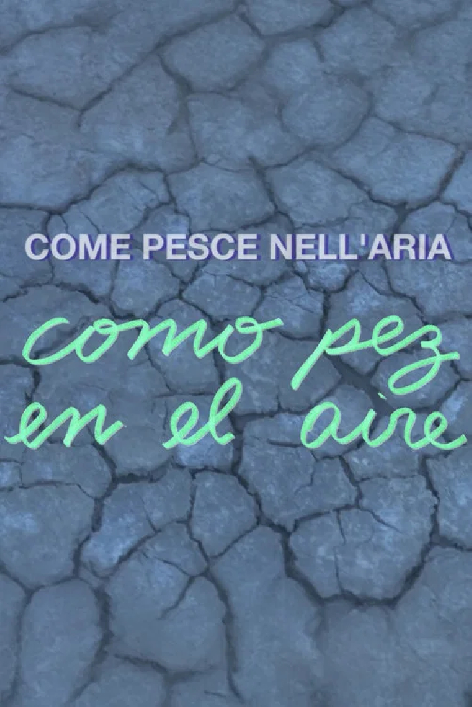Como pez en el aire