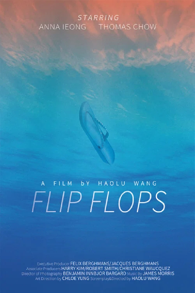 Flip Flops