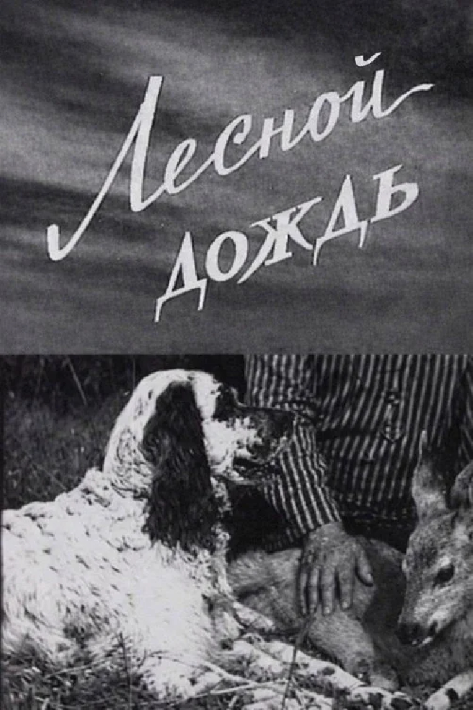 Лесной дождь