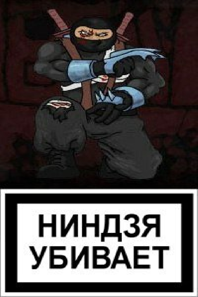 Ниндзя в деле