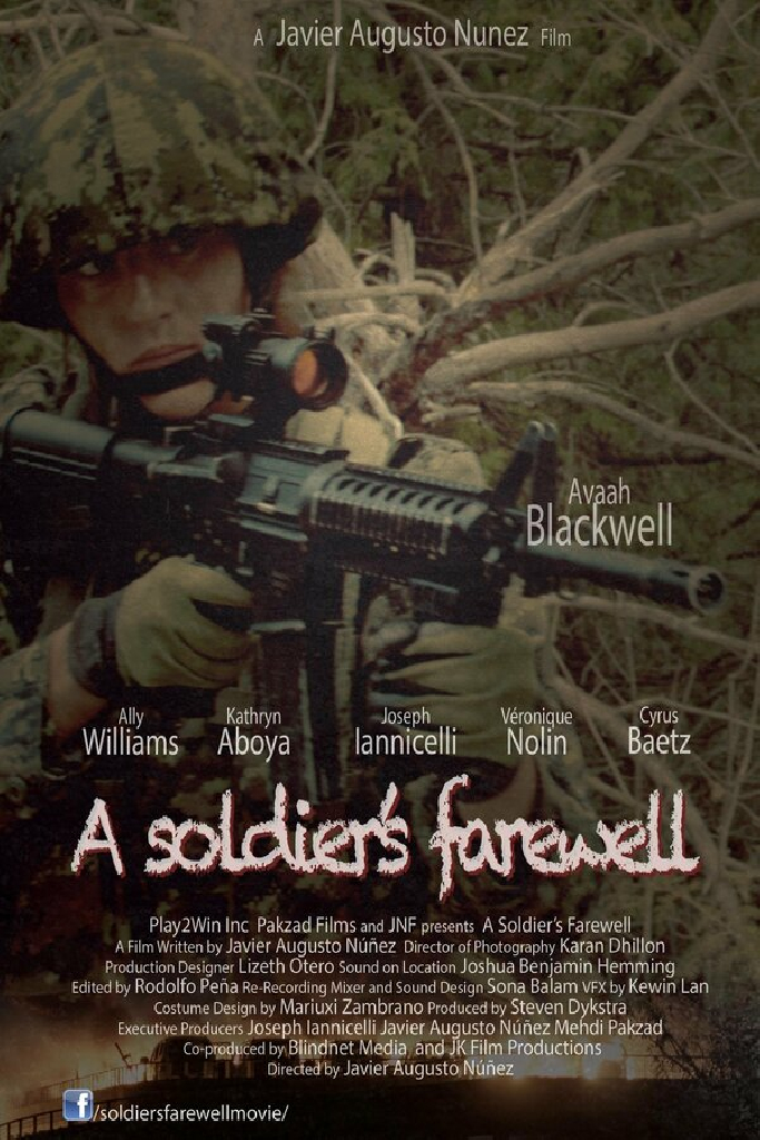 A Soldier's Farewell