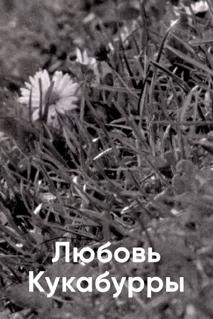 Любовь Кукабурры