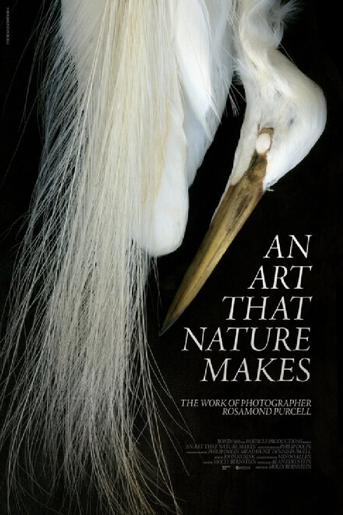 An Art That Nature Makes: The Work of Rosamond Purcell