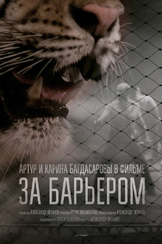 За барьером