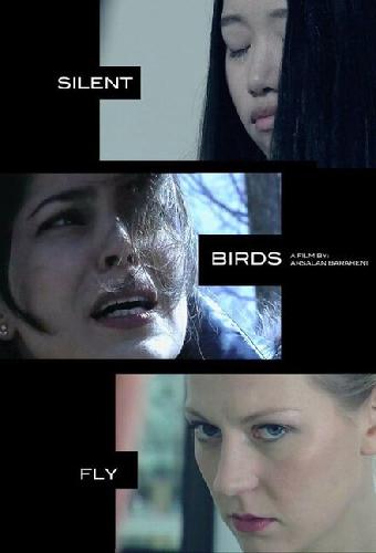 Migrant Birds Fly