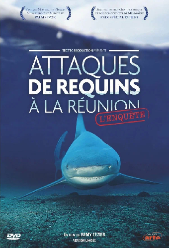 Attaques de Requins à La Réunion L'enquête