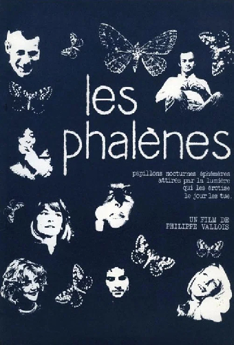 Les phalènes