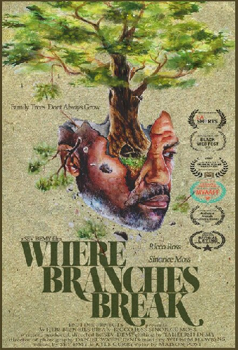 Where Branches Break
