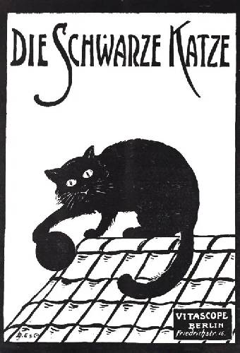 Die schwarze Katze 1. Teil