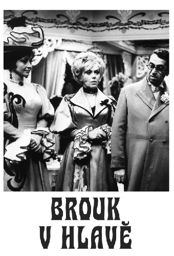 Brouk v hlavě
