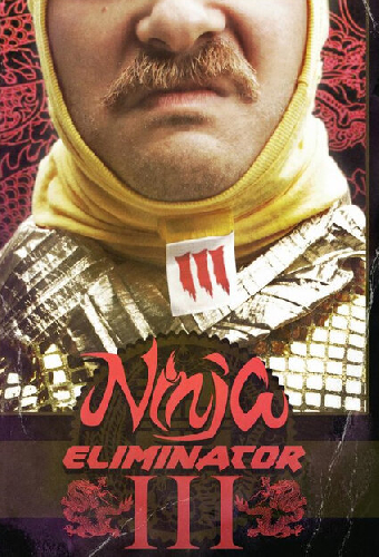 Ninja Eliminator 3: Guardian of the Dragon Medallion
