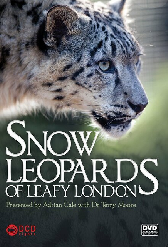Snow Leopards of Leafy London