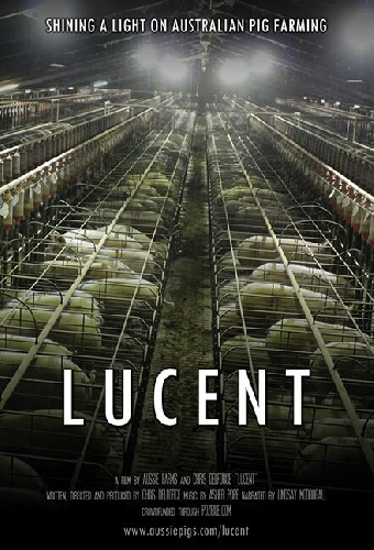 Lucent