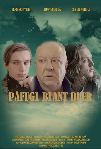 Påfugl Blant duer