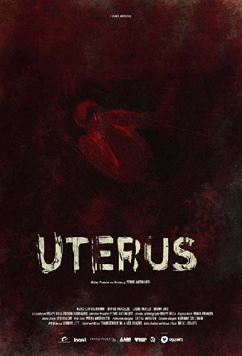 Uterus