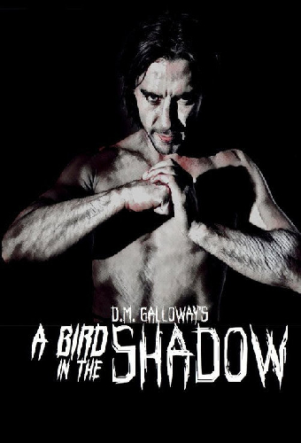A Bird In The Shadow