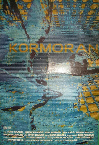 Kormoran