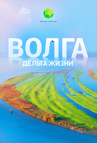 Волга: Дельта жизни