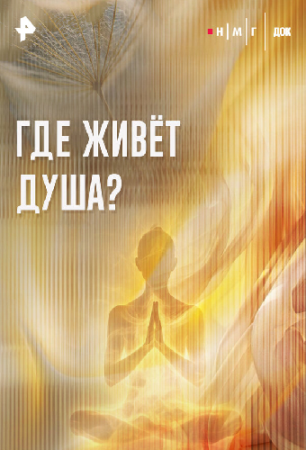 Где живет душа?