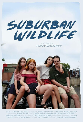 Suburban Wildlife