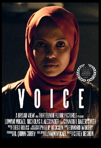 Voice