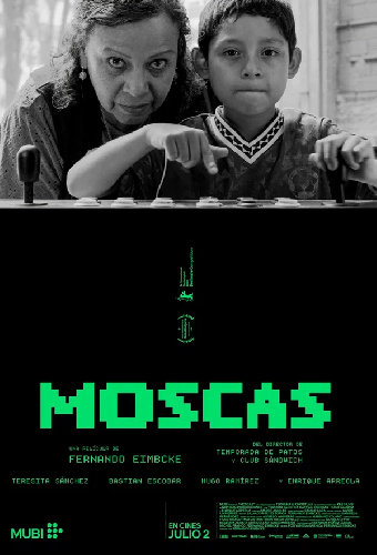 Постер «Мухи»
