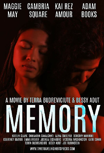 Memory: Time Traveling in Bits and Pieces