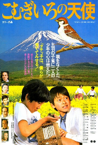 こむぎいろの天使 雀と少年
