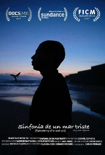 Sinfonía de un mar triste