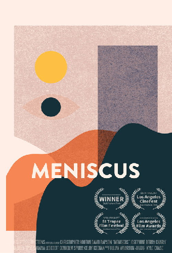 Meniscus
