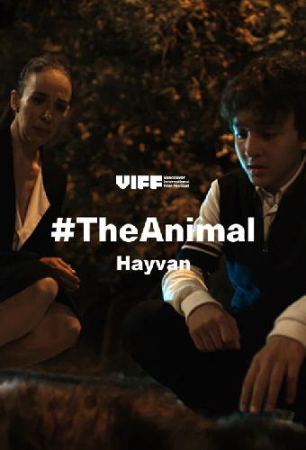 Hayvan