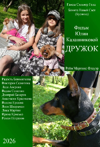 Дружок