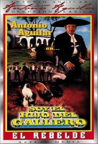 Soy el hijo del gallero