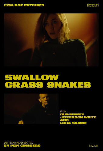 Swallow Grass Snakes