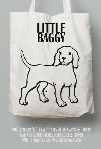 Little Baggy
