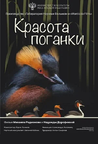 Красота поганки